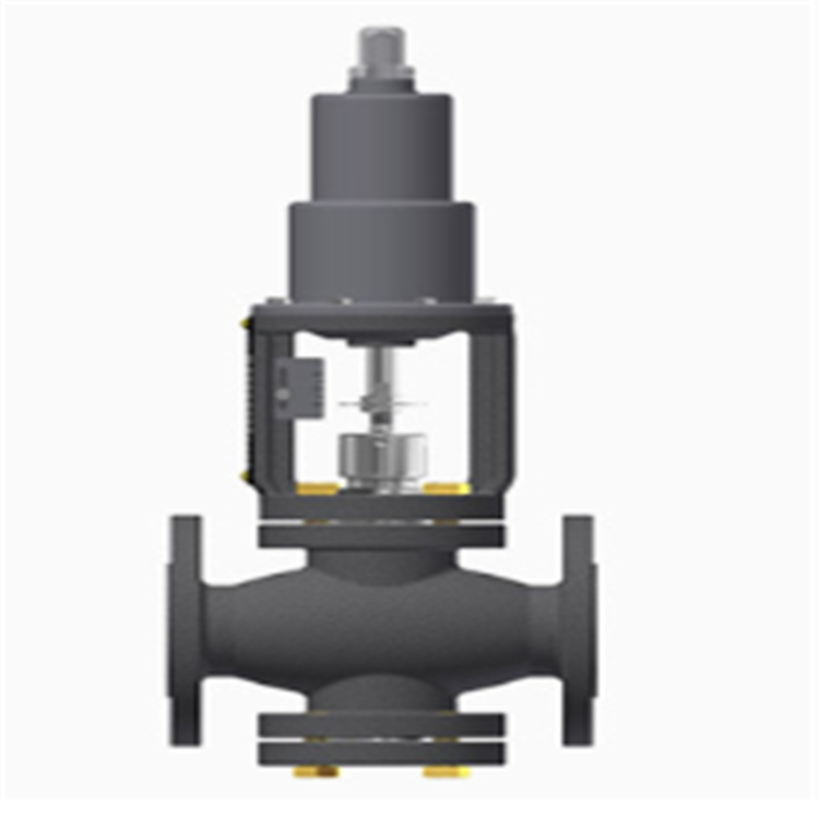 BUROCCO气动阀门VPFL/BW-DN65使用维护及特点介绍